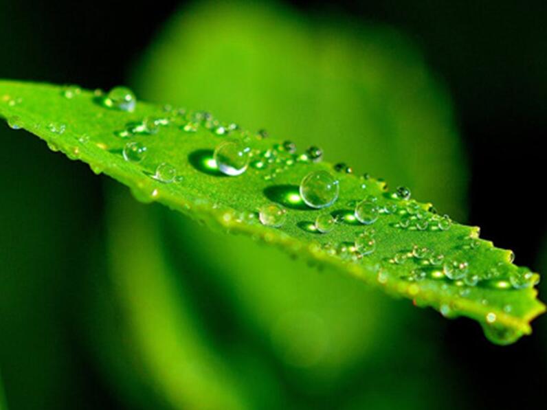 地埋式污水處理設(shè)備優(yōu)點(diǎn)有哪些